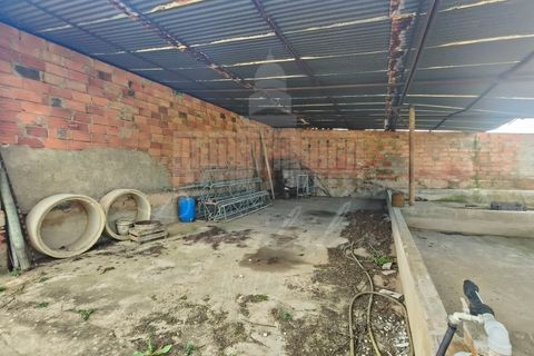 Farm i Riachos, Santarem, Riachos - € 435.000 | Ref: MAS_160 - foto 14