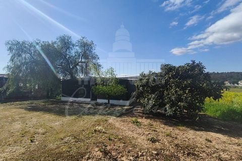 Farm i Riachos, Santarem, Riachos - € 435.000 | Ref: MAS_160 - foto 19