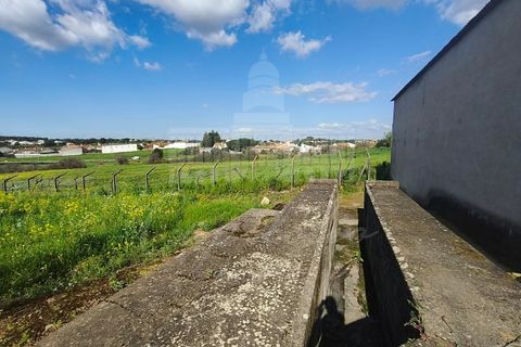 Farm i Riachos, Santarem, Riachos - € 435.000 | Ref: MAS_160 - foto 20