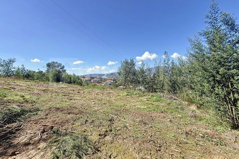 Terra a Ganfei, Viana do Castelo, Ganfei - € 59.000 | Ref: 2606 - foto 4