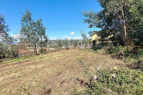 Terra a Ganfei, Viana do Castelo, Ganfei - € 59.000 | Ref: 2606 - foto 5