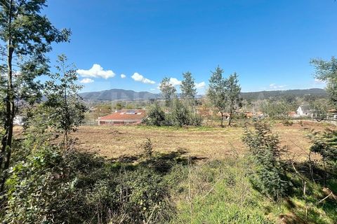 Terra a Ganfei, Viana do Castelo, Ganfei - € 59.000 | Ref: 2606 - foto 6