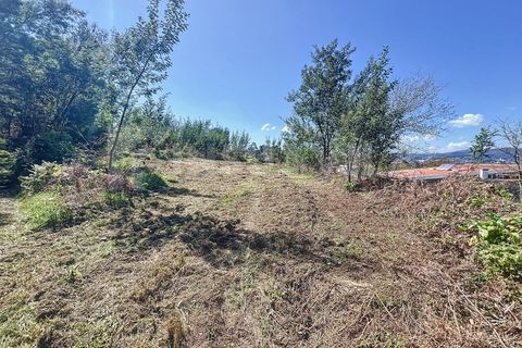 Terra a Ganfei, Viana do Castelo, Ganfei - € 59.000 | Ref: 2606 - foto 7