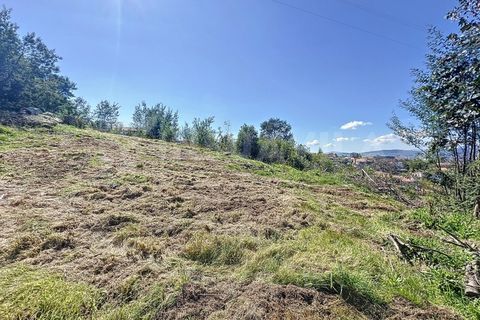 Terra a Ganfei, Viana do Castelo, Ganfei - € 59.000 | Ref: 2606 - foto 10
