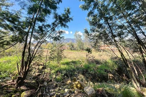 Terra a Ganfei, Viana do Castelo, Ganfei - € 59.000 | Ref: 2606 - foto 12