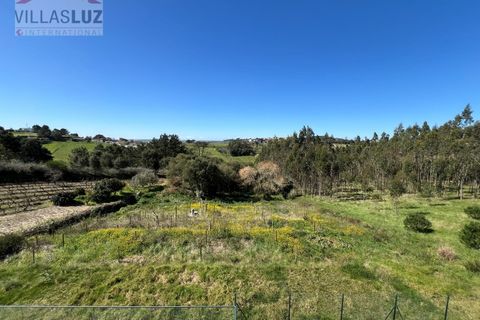 Villa a Carvalhal, Leiria, Carvalhal - € 800.000 | Ref: AO-VIV-0177 - foto 12