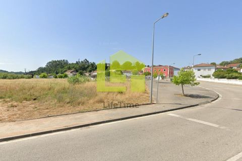 Helårsgrund i Coimbra, Coimbra, Coimbra - € 20.000 | Ref: LT1354 - foto 6