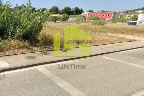 Helårsgrund i Coimbra, Coimbra, Coimbra - € 20.000 | Ref: LT1354 - foto 7