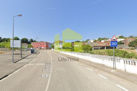 Helårsgrund i Coimbra, Coimbra, Coimbra - € 20.000 | Ref: LT1354 - foto 13
