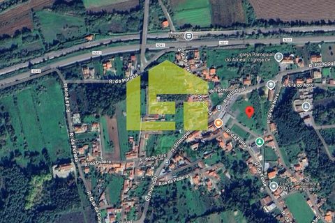 Helårsgrund i Coimbra, Coimbra, Coimbra - € 20.000 | Ref: LT1354 - foto 16