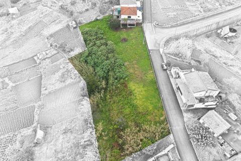 Byhus i Santana, Madeira, Santana - € 335.000 | Ref: 139812 - foto 29