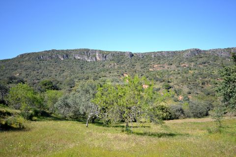 Tomt i Loule, Faro, Loule - € 75 000 | Ref: 1009-2365 - foto 2