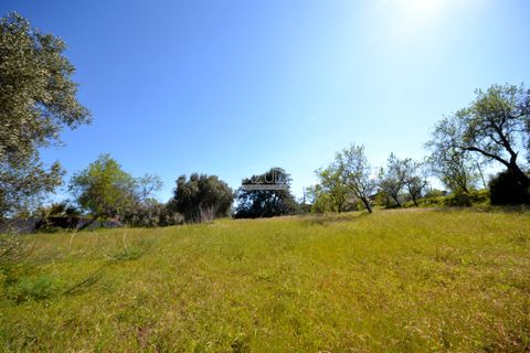 Tomt i Loule, Faro, Loule - € 75 000 | Ref: 1009-2365 - foto 3