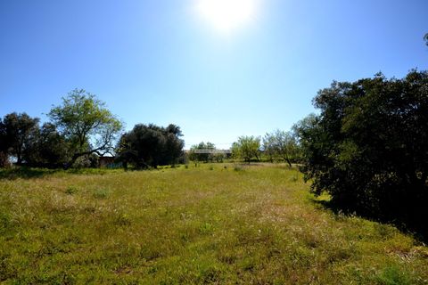 Tomt i Loule, Faro, Loule - € 75 000 | Ref: 1009-2365 - foto 8