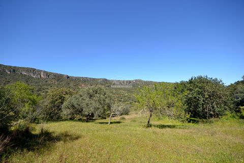 Tomt i Loule, Faro, Loule - € 75 000 | Ref: 1009-2365 - foto 9
