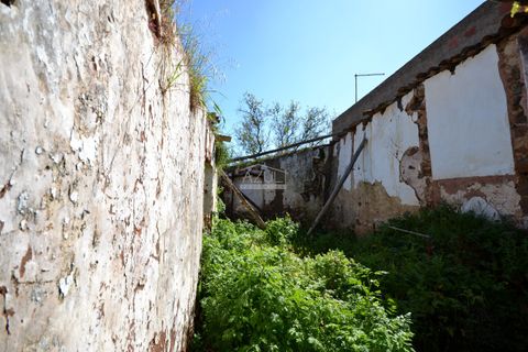 Tomt i Loule, Faro, Loule - € 75 000 | Ref: 1009-2365 - foto 16