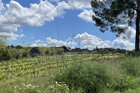 Terra a Costix, Mallorca, Costix - € 680.000 | Ref: MAL58081 - foto 9