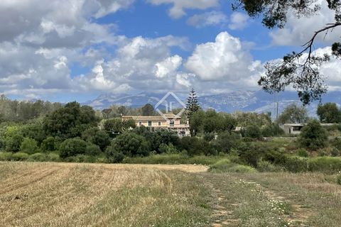 Terra a Costix, Mallorca, Costix - € 680.000 | Ref: MAL58081 - foto 11