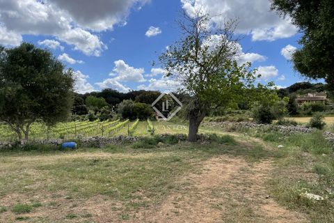 Terra a Costix, Mallorca, Costix - € 680.000 | Ref: MAL58081 - foto 12