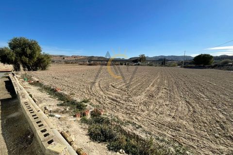 Villa i Murcia, Murcia, Murcia - € 395.000 | Ref: DNV0561 - foto 32