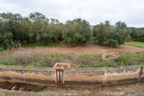 Finca i Ulldecona, Tarragona, Ulldecona - € 80.000 | Ref: 203 - foto 10