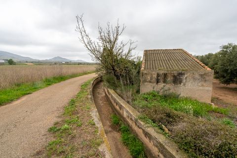 Finca i Ulldecona, Tarragona, Ulldecona - € 80.000 | Ref: 203 - foto 15