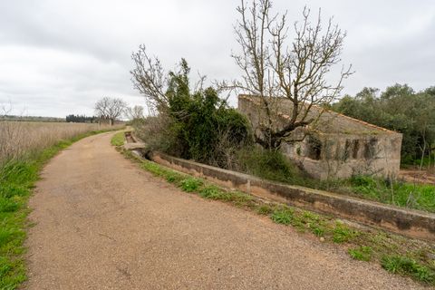 Finca i Ulldecona, Tarragona, Ulldecona - € 80.000 | Ref: 203 - foto 16