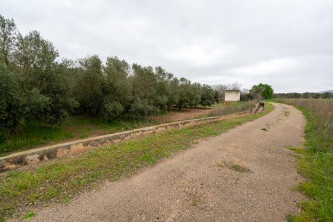 Finca i Ulldecona, Tarragona, Ulldecona - € 80.000 | Ref: 203 - foto 12