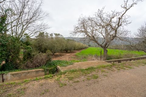 Finca i Ulldecona, Tarragona, Ulldecona - € 80.000 | Ref: 203 - foto 14