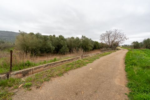 Finca i Ulldecona, Tarragona, Ulldecona - € 80.000 | Ref: 203 - foto 13
