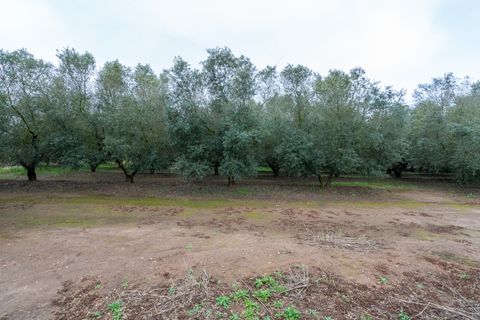 Finca i Ulldecona, Tarragona, Ulldecona - € 80.000 | Ref: 203 - foto 6