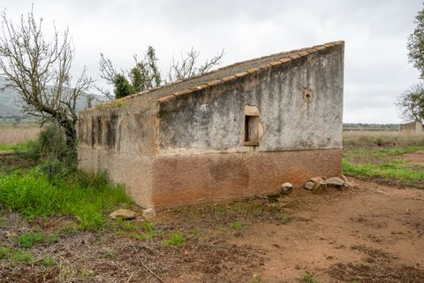 Finca i Ulldecona, Tarragona, Ulldecona - € 80.000 | Ref: 203 - foto 2