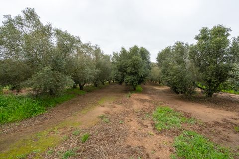 Finca i Ulldecona, Tarragona, Ulldecona - € 80.000 | Ref: 203 - foto 5