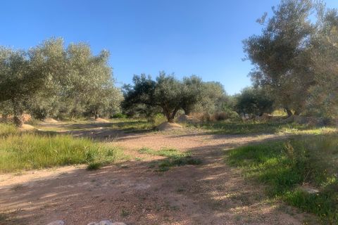 Landejendom i Camarles, Tarragona, Camarles - € 145.000 | Ref: Cam48lig - foto 17