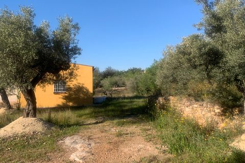 Landejendom i Camarles, Tarragona, Camarles - € 145.000 | Ref: Cam48lig - foto 15