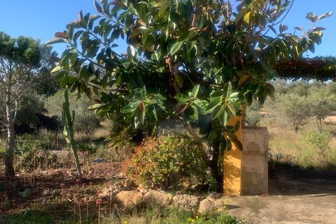 Landejendom i Camarles, Tarragona, Camarles - € 145.000 | Ref: Cam48lig - foto 16