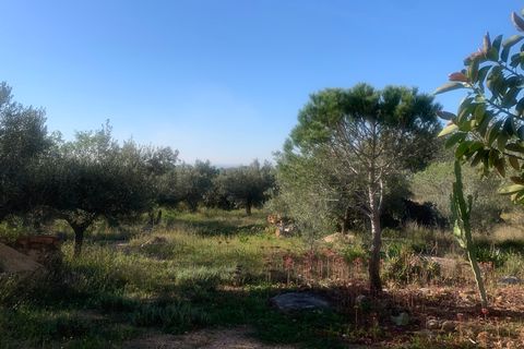 Landejendom i Camarles, Tarragona, Camarles - € 145.000 | Ref: Cam48lig - foto 20