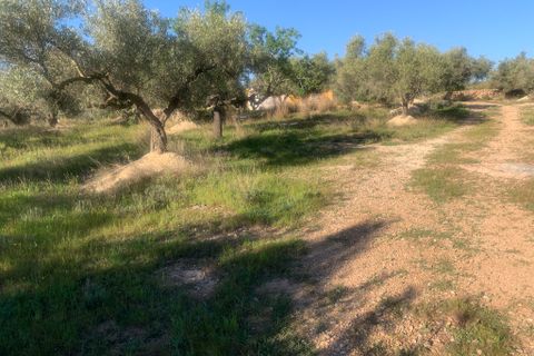 Landejendom i Camarles, Tarragona, Camarles - € 145.000 | Ref: Cam48lig - foto 18