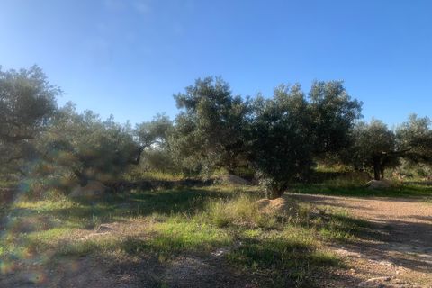 Landejendom i Camarles, Tarragona, Camarles - € 145.000 | Ref: Cam48lig - foto 24