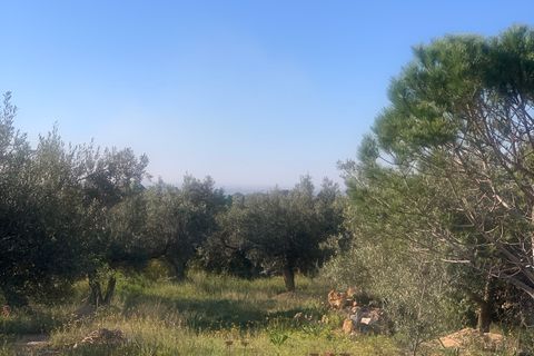 Landejendom i Camarles, Tarragona, Camarles - € 145.000 | Ref: Cam48lig - foto 19