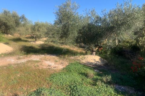 Landejendom i Camarles, Tarragona, Camarles - € 145.000 | Ref: Cam48lig - foto 21
