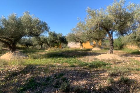 Landejendom i Camarles, Tarragona, Camarles - € 145.000 | Ref: Cam48lig - foto 22