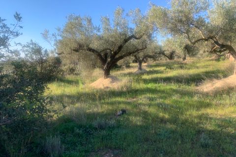 Landejendom i Camarles, Tarragona, Camarles - € 145.000 | Ref: Cam48lig - foto 25