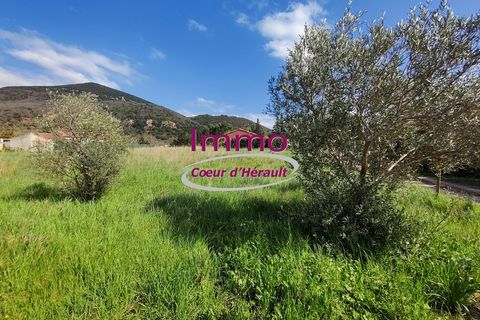 Terra a Salasc, Herault, Salasc - € 169.000 | Ref: 343082200 - foto 2