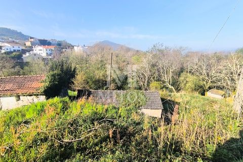 Villa a Viana do Castelo, Viana do Castelo, Viana do Castelo - € 45.000 | Ref: D349 - foto 4