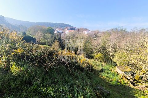 Villa a Viana do Castelo, Viana do Castelo, Viana do Castelo - € 45.000 | Ref: D349 - foto 6