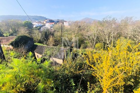 Villa a Viana do Castelo, Viana do Castelo, Viana do Castelo - € 45.000 | Ref: D349 - foto 8