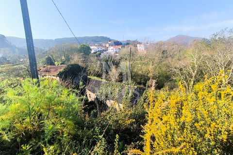 Villa a Viana do Castelo, Viana do Castelo, Viana do Castelo - € 45.000 | Ref: D349 - foto 10