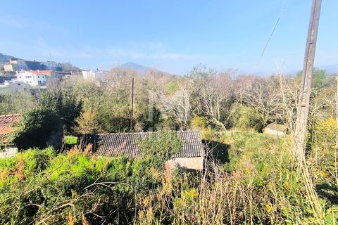 Villa a Viana do Castelo, Viana do Castelo, Viana do Castelo - € 45.000 | Ref: D349 - foto 12