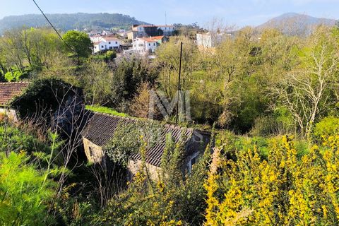 Villa a Viana do Castelo, Viana do Castelo, Viana do Castelo - € 45.000 | Ref: D349 - foto 13